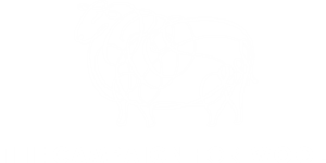 The Campaign For Wool Logo